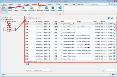 實時電腦監(jiān)控與計算機軟件開發(fā) 工具、技術與應用